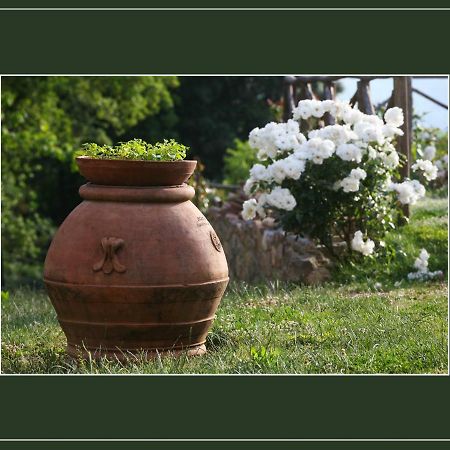 Podere Marroneto Lama  Dış mekan fotoğraf